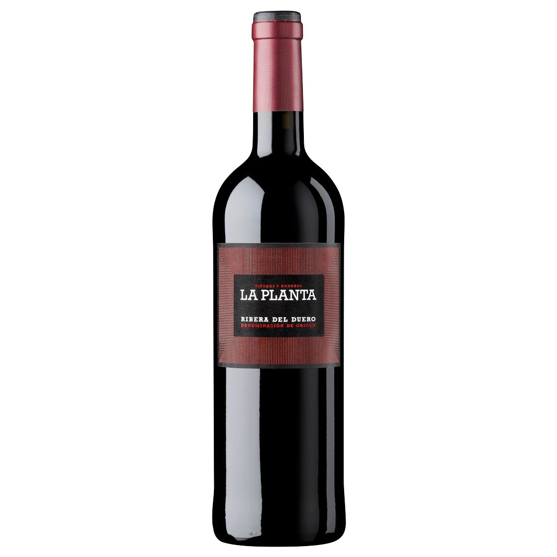 ARZUAGA LA PLANTA RIBERA DEL DUERO 750ML MIAMI LIQUOR WINE STORE