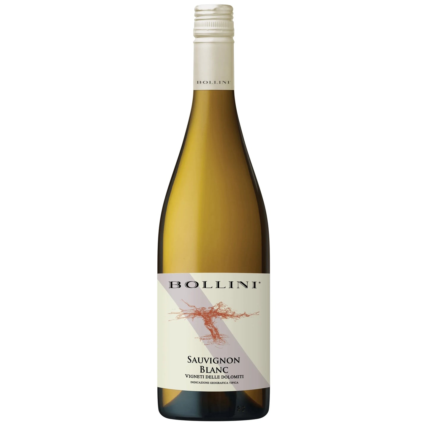 BOLLINI SAUVIGNON BLANC 750ML MIAMI LIQUOR WINE STORE